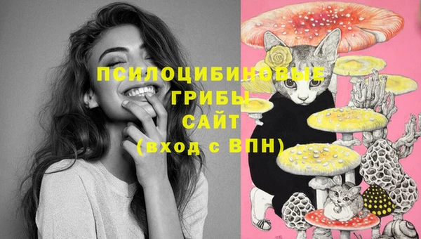 MESCALINE Армянск
