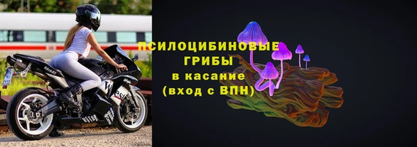 сатива Арсеньев