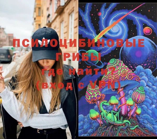 соль ск Приозерск